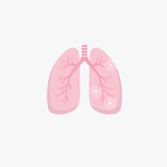 Human lung illness anatomy diagram. Lung cancer (asthma, tuberculosis, pneumonia). Respiratory system