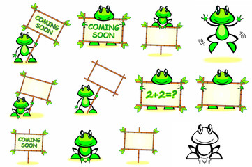 Fototapeta premium frog