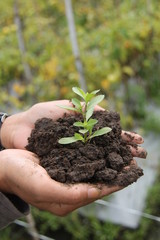 holding plant seeds
