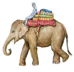 Naklejka premium elephant, watercolor