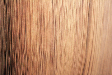 Macro view of book pages. Toned