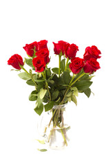Beautiful Red Roses on a White Background