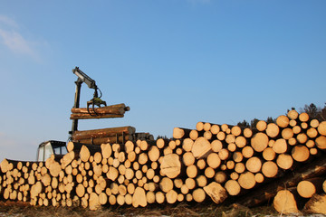 holzlager 