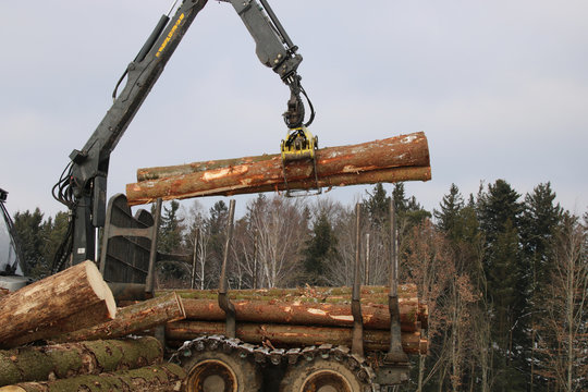 waldabeit kran holz abladen