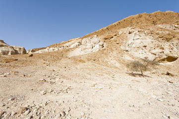 Stone desert in Israel