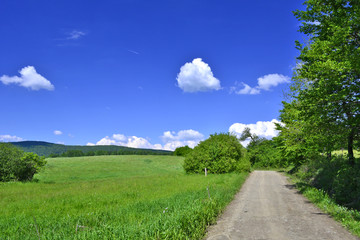Rural road and green field in Beskidy Mountains in summer, Poland