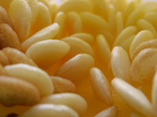 Close up shot of seeds of yellow bell pepper or capsicum over dark background