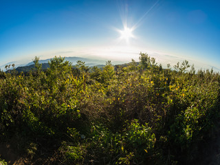 The sun rises on the top of the hill