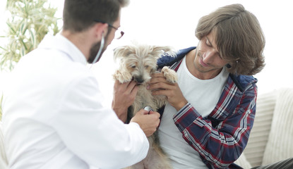Loving owner with a Yorkshire terrier in the office of a veterinarian