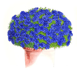 Illustration of a flower.