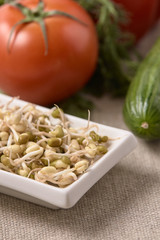 Sprouted beans. Fresh vegetables. Preparation of salad