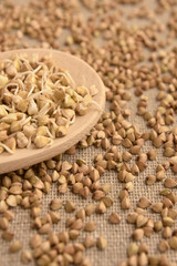 Brown background. Cereal sprouts. Wooden spoon