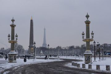 Fototapeta na wymiar Eiffel Tower, Snowy day in Paris, France