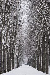 Cold winter day in a city, Paris