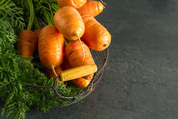 Young carrots. Fresh vegetarian products. Delicious food for children. Dark background.
