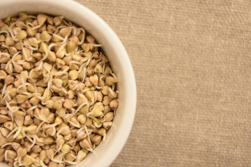 Buckwheat sprouts. White plate. Neutral background