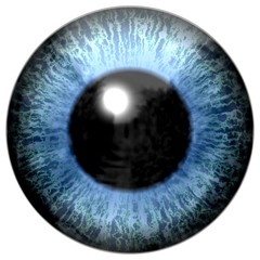 Scary out of this world eye