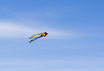 Fototapeta na wymiar colorful kite