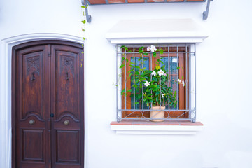 A door and a window decorated with flowers