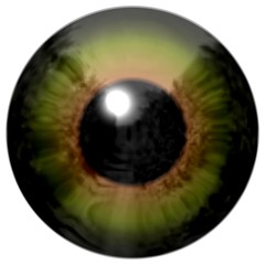 Beautiful colorful scary eye texture