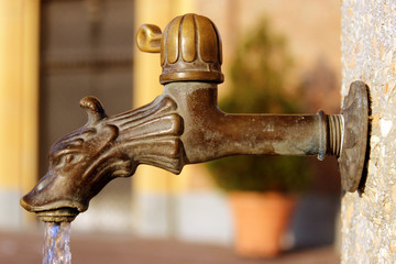 dragon de fuente