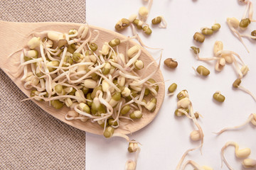 Bean sprouts. White background. Wooden spoon. Spread beans