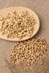 Buckwheat grain. Beans sprouts. Wooden spoon. Natural background