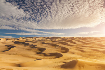 Naklejka na ściany i meble Beautiful sand dunes in the Sahara desert