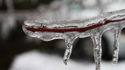 0215 Ice Storm, Icing, Icicle 