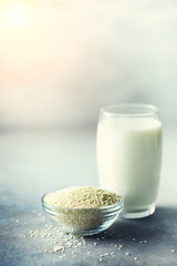 Sesame seed milk in glass and sesame seeds on grey concrete background with copy space. Raw food diet. Vegan concept