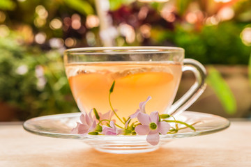 Ginger teacup
