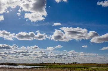 Fototapeta na wymiar Blue sky with white, fluffy, tender cumulus clouds, yellow field, green grass, silver water