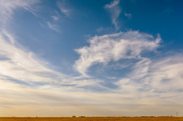 Fototapeta premium Blue sky with white, fluffy, tender cirrus clouds, yellow field, green grass, trees in the summer noon