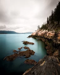 Foto op Plexiglas Donkerbruin De ruige kust van de Pacific Northwest
