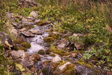 Mountain Creek. Green grass. Gray stones. Horizontal