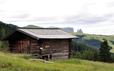Obraz premium Im Hintergrund der Schlern