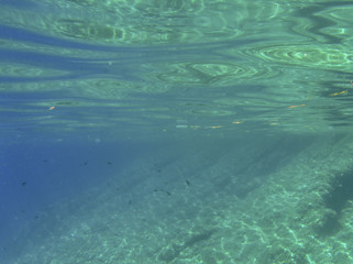 Underwater landcape in Hvar croatia