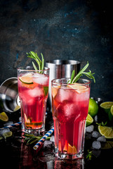 Refreshment alcoholic red cranberry and lime cocktail with rosemary and ice, two glass, dark background copy space