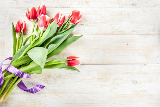 Background for congratulations, greeting cards. Fresh spring tulips flowers, on white wooden background top view copy space
