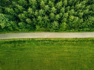 Aerial top view of a country road through a fir forest and a green field in summer
