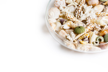 Glass bowl filled up with diverse seashells, sea stars and urchin shells on white background with copy space.