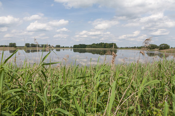 Fototapeta na wymiar Ufer am See