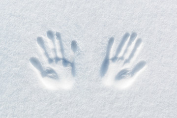 print of two hands on the snow