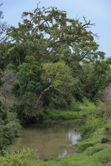 Fototapeta premium Africa