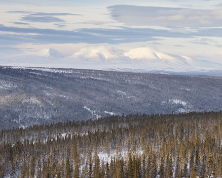 Forest and mountains during winter in Hedmark, Sweden