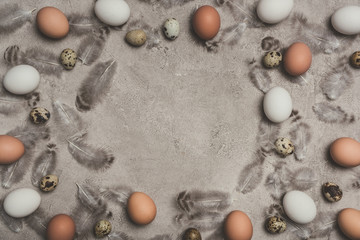frame of chicken and quail eggs on concrete surface with feathers