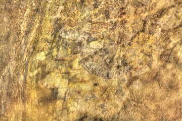 Holztextur, Hintergrundbild,  braune Baumrinde