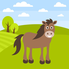 Cute brown horse on the grass field