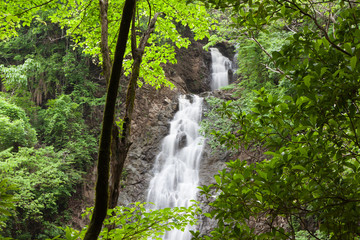 Fototapeta premium Montezuma waterfall in nature of Costa Rica