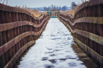 Fototapeta premium Walking bridge for tourists over braided river Narew in Narew National Park, Waniewo village, Poland